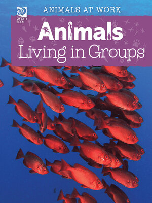 cover image of Animals Living in Groups